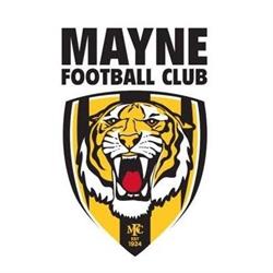 Mayne Tigers