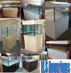 M.S Aquariums