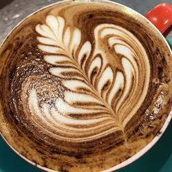 Discovery Cafe
