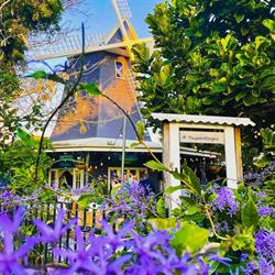 Windmill Cafe Bargara