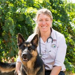 Barossa Veterinary Service - Nuriootpa