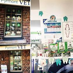 Pyrmont Vet