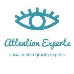 Attention Experts