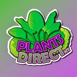 Plants Direct N.T
