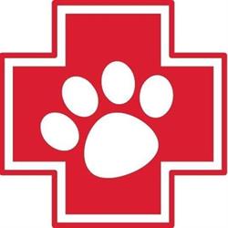Emergency Vets 24/7