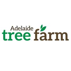 Adelaide Tree Farm