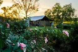 Camden Town Farm