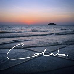 Colab 4010