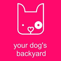 Doggy Day Care Brisbane