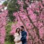 Maternity session at Raeburn Orchards in Roleystone
