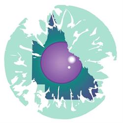 Queensland Ophthalmic Specialists