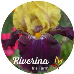 Riverina Iris Farm
