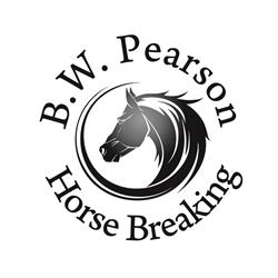 Brad W Pearson Horse Breaking