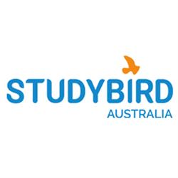 Studybird