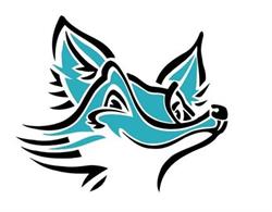 Narre North Foxes Football Club