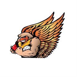 Boronia Hawks Football Netball Club