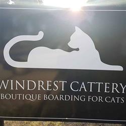 Windrest Cat Boutique
