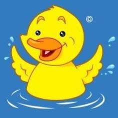 Duck & Dive Swimming