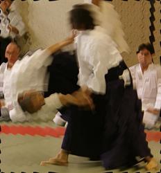 Tweed / Gold Coast Daito-ryu - Traditional Japanese Martial Arts