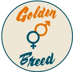 Golden Breed Surf