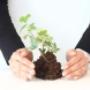 Wealth Management