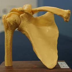 Equilibrium Physiotherapy