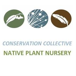 Conservation Collective Native Plant Nursery