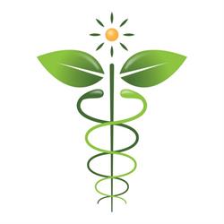 Panacea Naturopathy