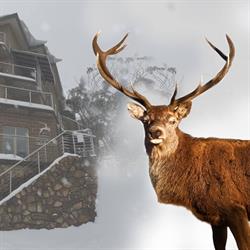 REINDEER SKI CLUB