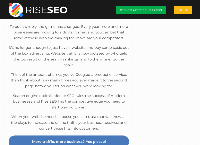Rise SEO's website