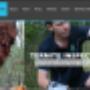 Pest Inspections Cover