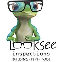 LOOKSEE INSPECTION