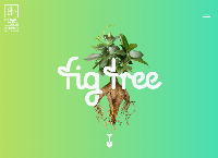Fig Tree Digital's website