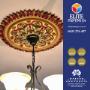 House Painter Adelaide - Elite Painting SA