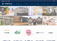 Elite Painting SA's website