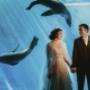 Melbourne Wedding Photographer
