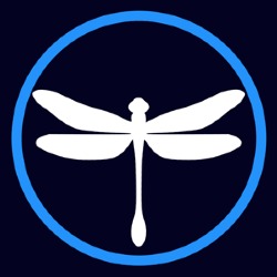 Neondragonfly Web Design