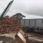 Lancefield Redgum Firewood