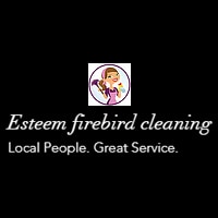 Esteem Firebird Cleaning
