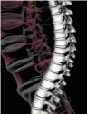 Lara Rogers Chiropractic
