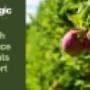 Fresh Produce Insights Report