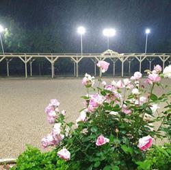 Prospect Petanque Club