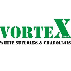 Vortex White Suffolk & Charollais Stud