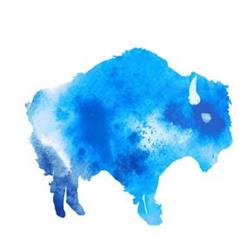 Team Buffalo