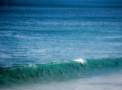 Dolphins surfing at Knights Beach outside the front door of Casita Alegre