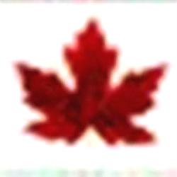 Maple Leap Groups