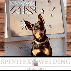 Spinifex Welding & Labour