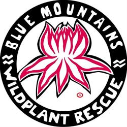 Blue Mountains Wildplant Rescue Service t/a Katoomba Native Plant Nursery