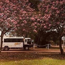 Oz Tours Safaris