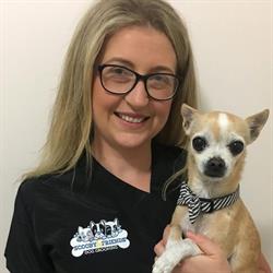 Scooby & Friends Dog Grooming